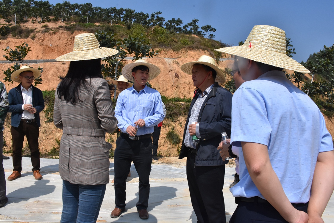 玉林市政协副主席周豪听取基地负责人对基地菠萝蜜种植基本情况的介绍